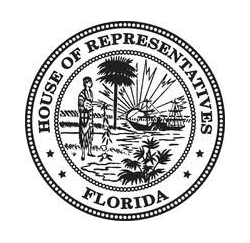Florida State Representative Patrica Williams