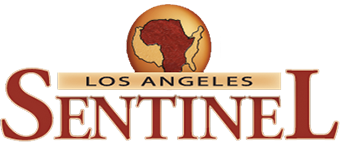 Lasentinel Logo