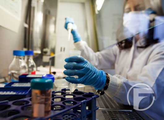 Fight Infectious Diseases